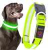 LED Dog Collar, USB Rechargeable Light Up Dog Collar, Adjustable Safety Glowing Collar for Dogs (Green, XL Size)