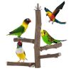 Bird Climbing Wood; Outdoors Wood Cage Perch Stand For Bird ; Pet Supplies; Pet Toys For Parrot