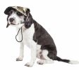 Pet Life 'Torrential Downfour' Camouflage Uv Protectant Adjustable Fashion Dog Hat Cap