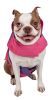 Touchdog Lightening-Shield Waterproof 2-in-1 Convertible Dog Jacket w/ Blackshark technology